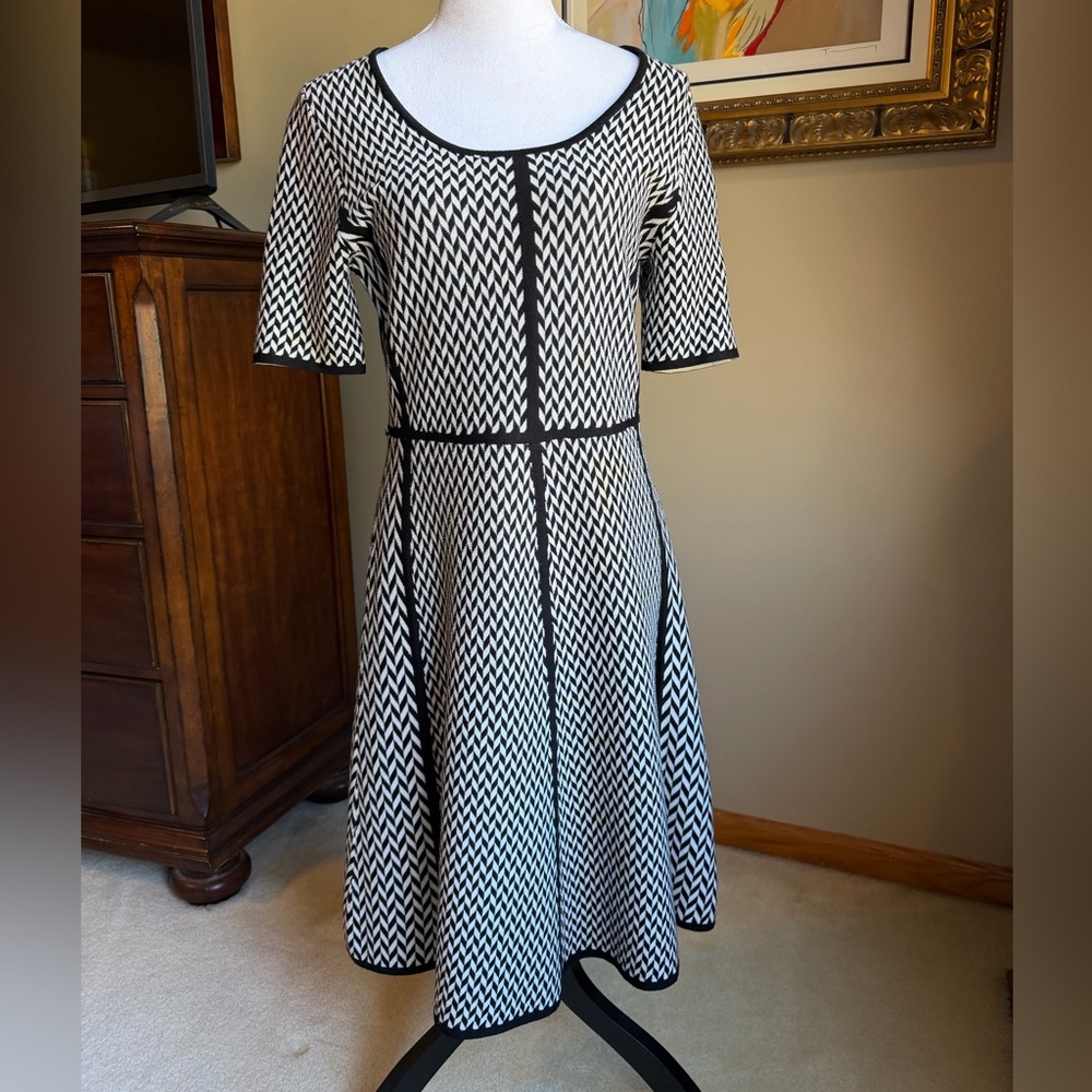 Lovely A-Line Black and White Women's Dress